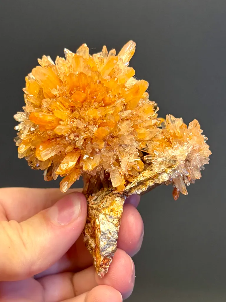 Creedite - image 7