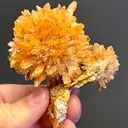Creedite - image 7