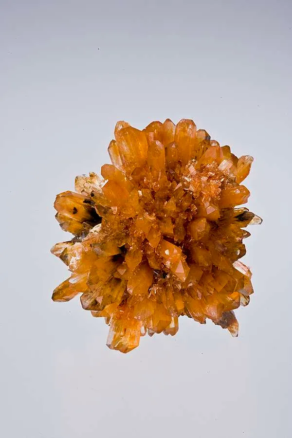Creedite image