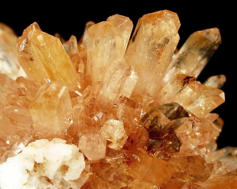 Creedite - image 3