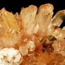 Creedite - image 3