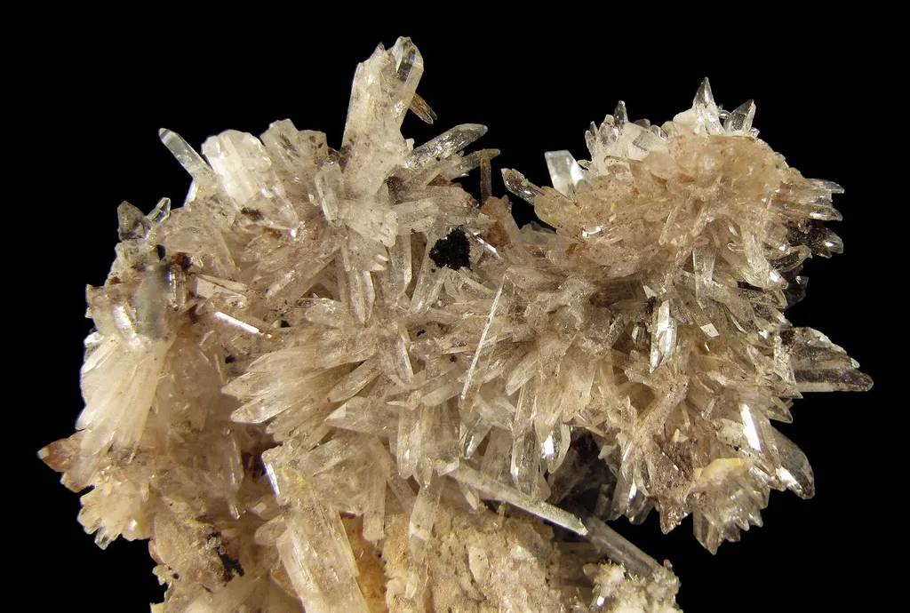Creedite - image 2