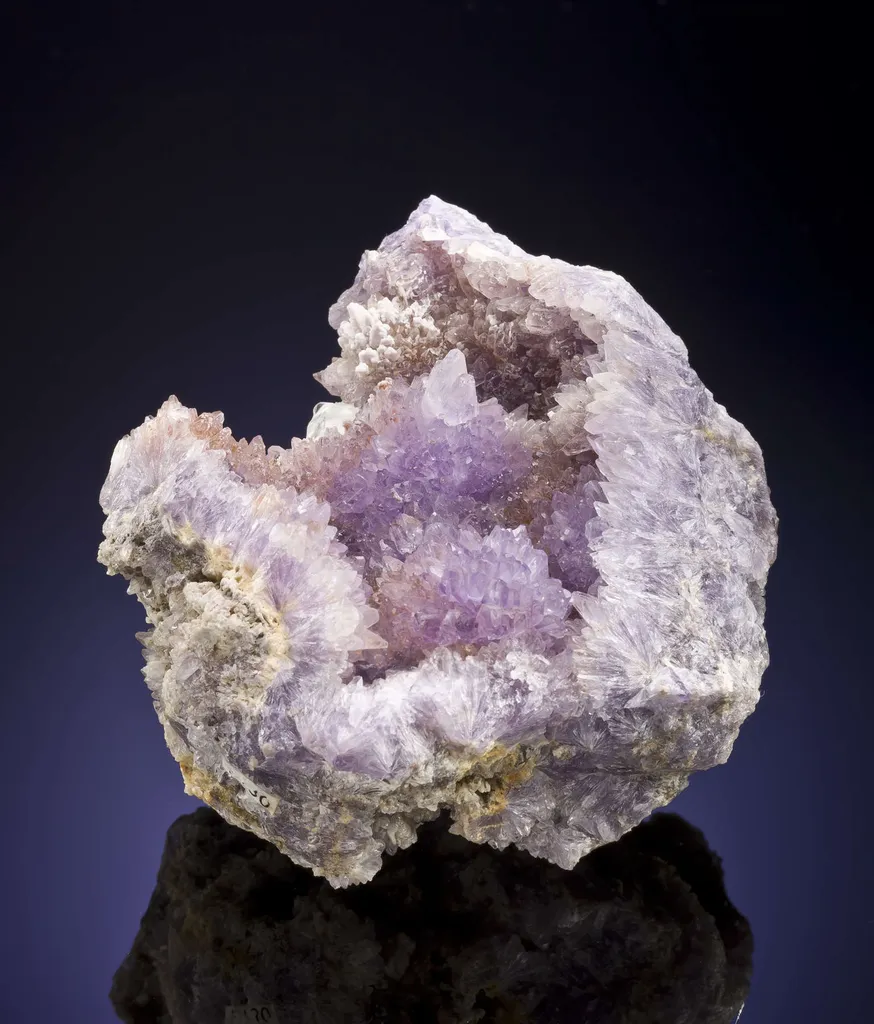 Creedite - image 2