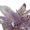 Creedite - image 3