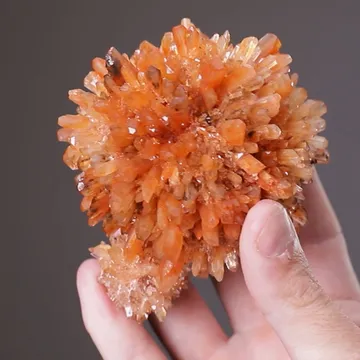 Creedite