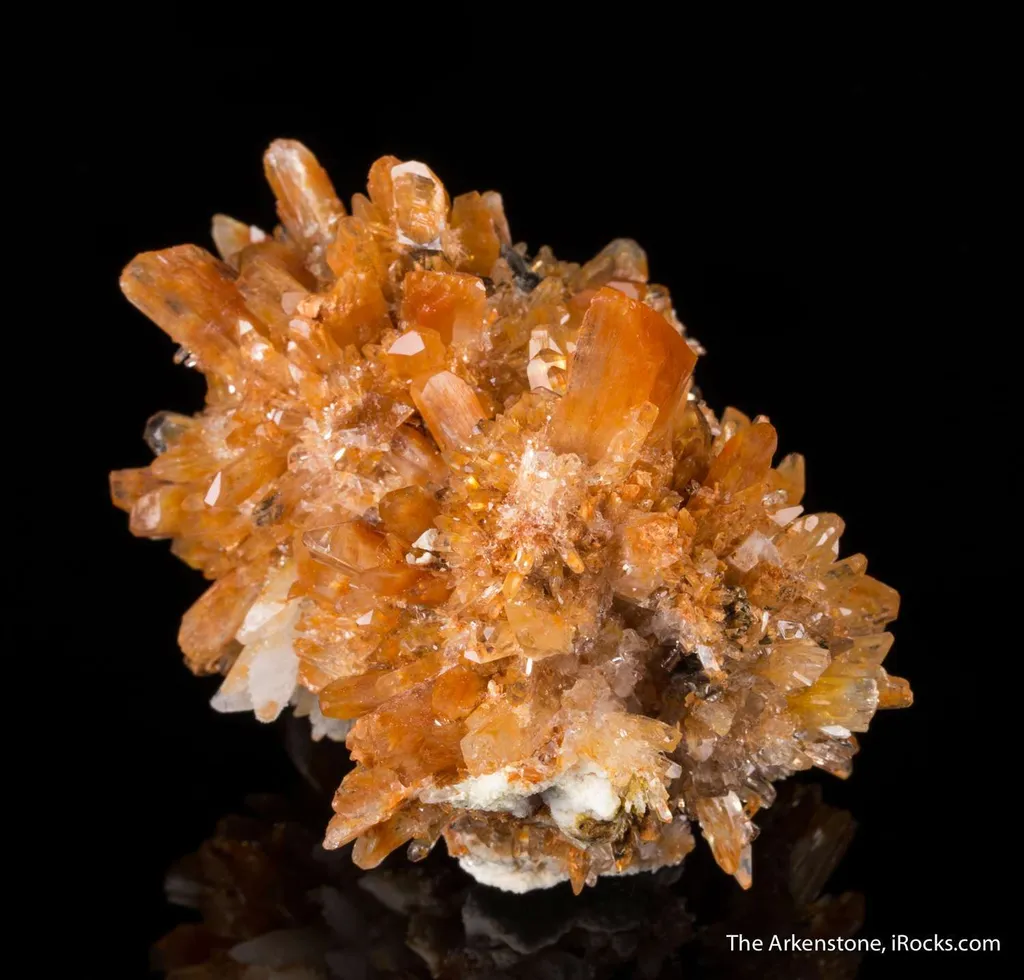 Creedite - image 5