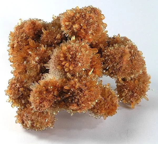 Creedite image