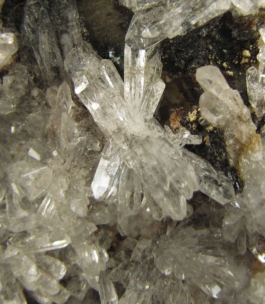 Creedite - image 2