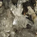 Creedite - image 2
