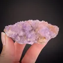Creedite - image 1