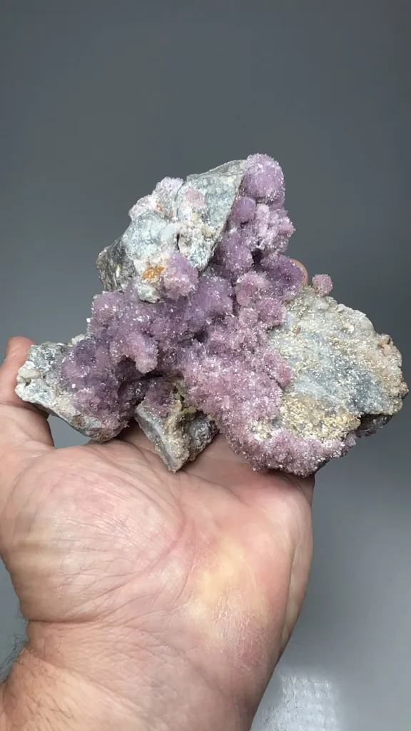 Creedite - image 2