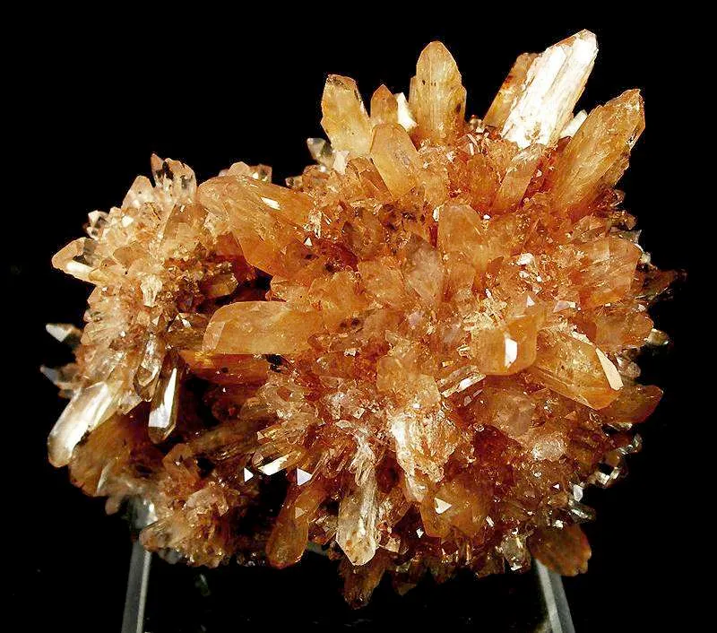 Creedite image