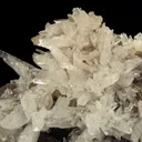 Creedite - image 4