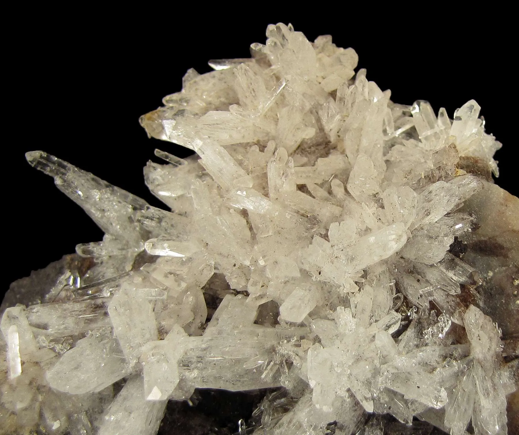 Creedite - image 4