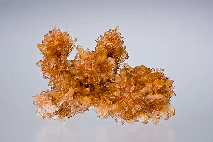 Creedite image