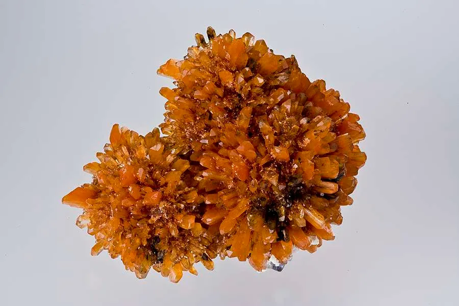 Creedite image