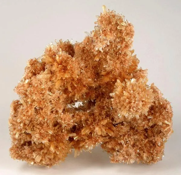 Creedite image