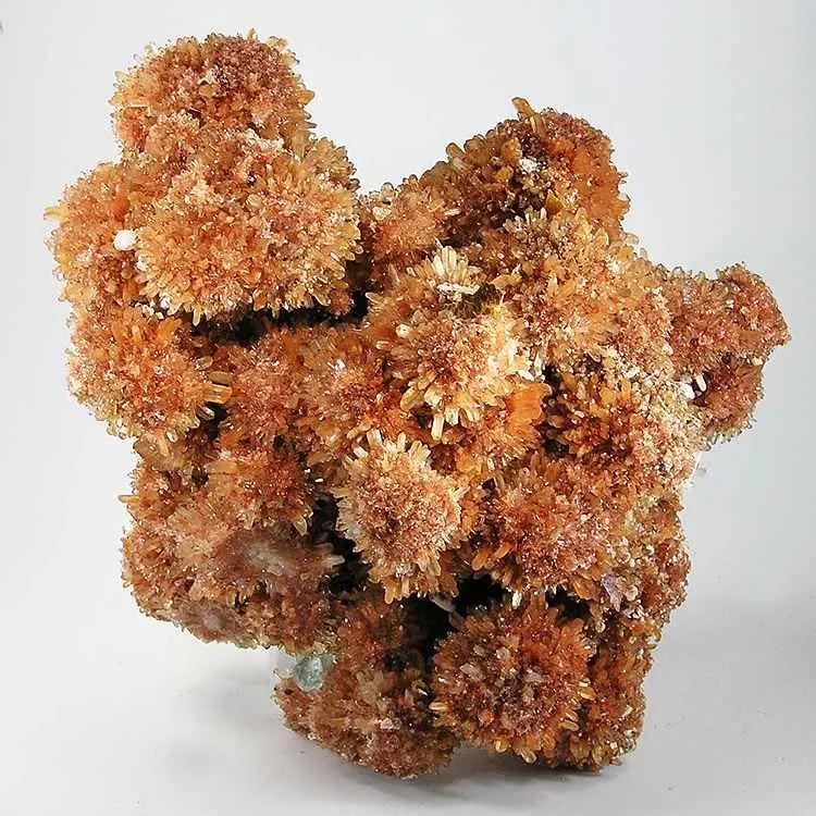 Creedite image