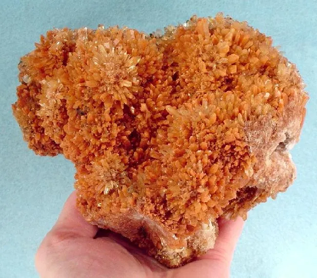 Creedite image