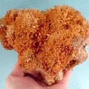 Creedite - image 1