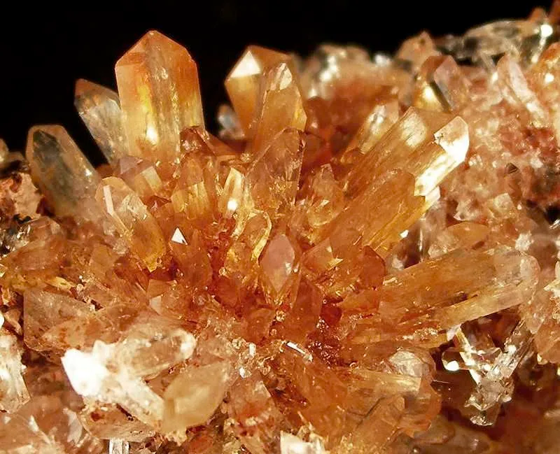 Creedite - image 2