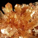 Creedite - image 2