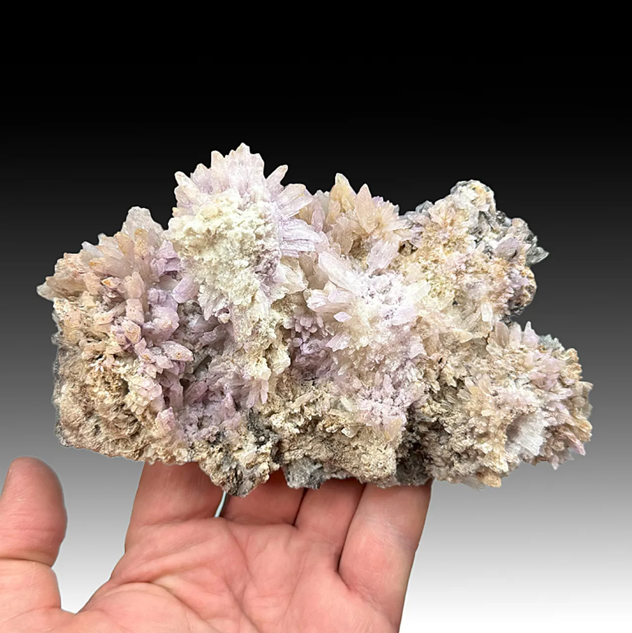 Creedite - image 1