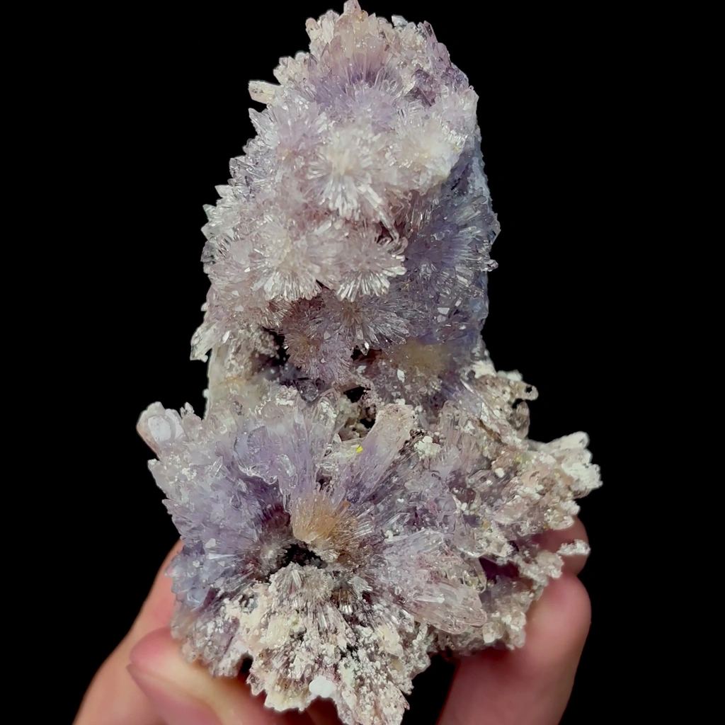 Creedite - image 4