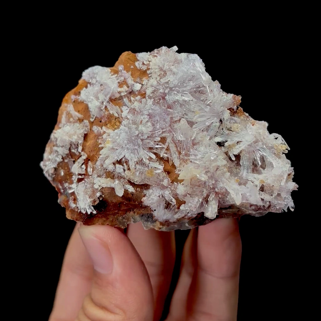 Creedite image