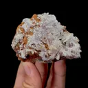 Creedite - image 2