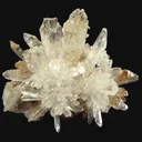 Creedite - image 1