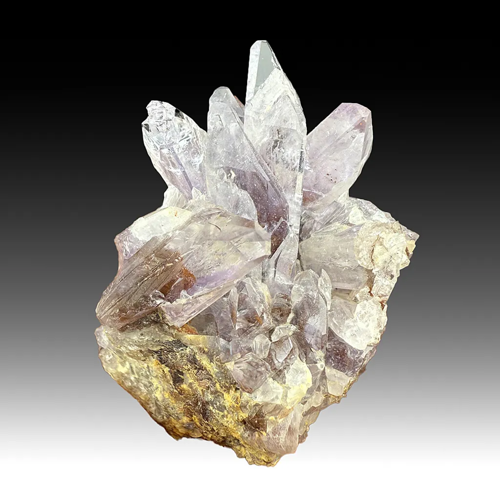 Creedite image