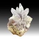 Creedite - image 1