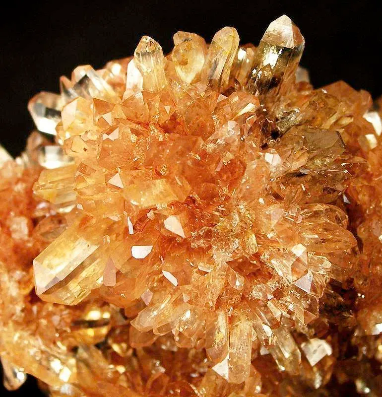 Creedite - image 2