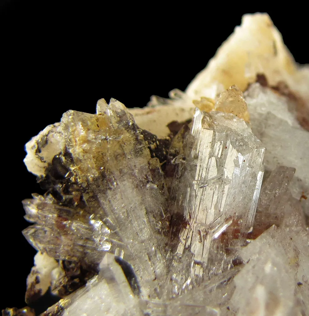 Creedite - image 2