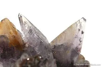 Creedite - image 3