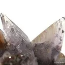 Creedite - image 3