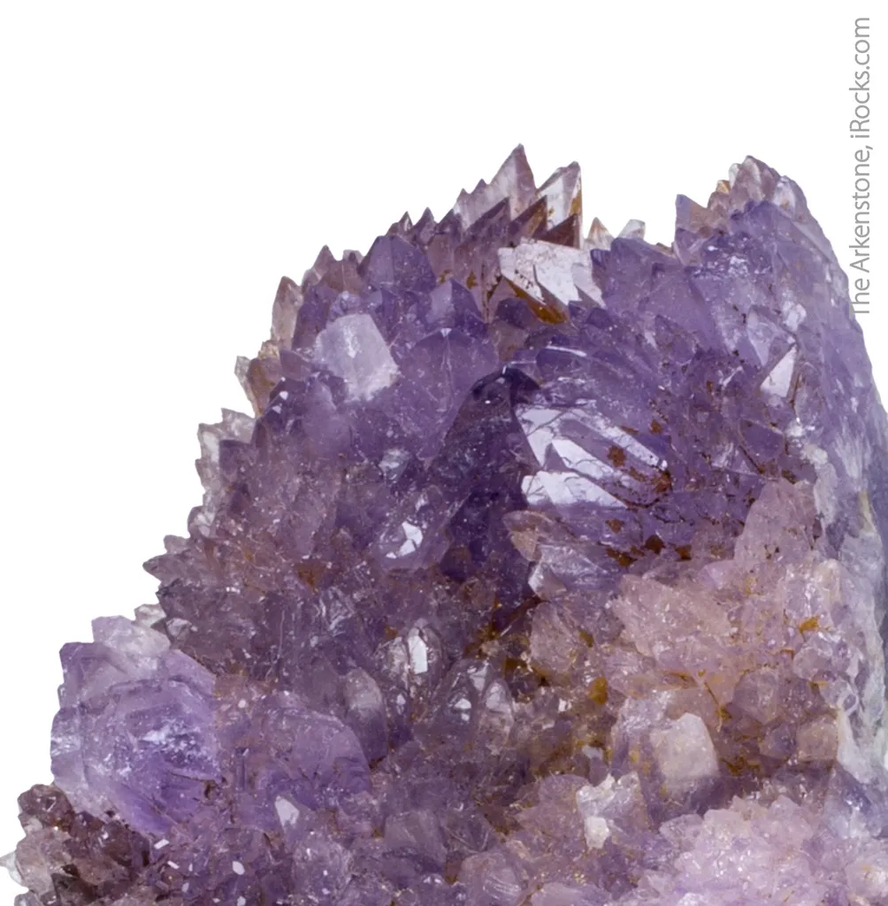 Creedite - image 4