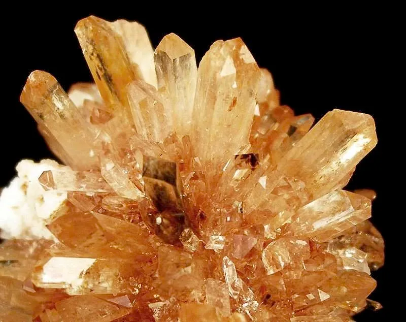 Creedite - image 2