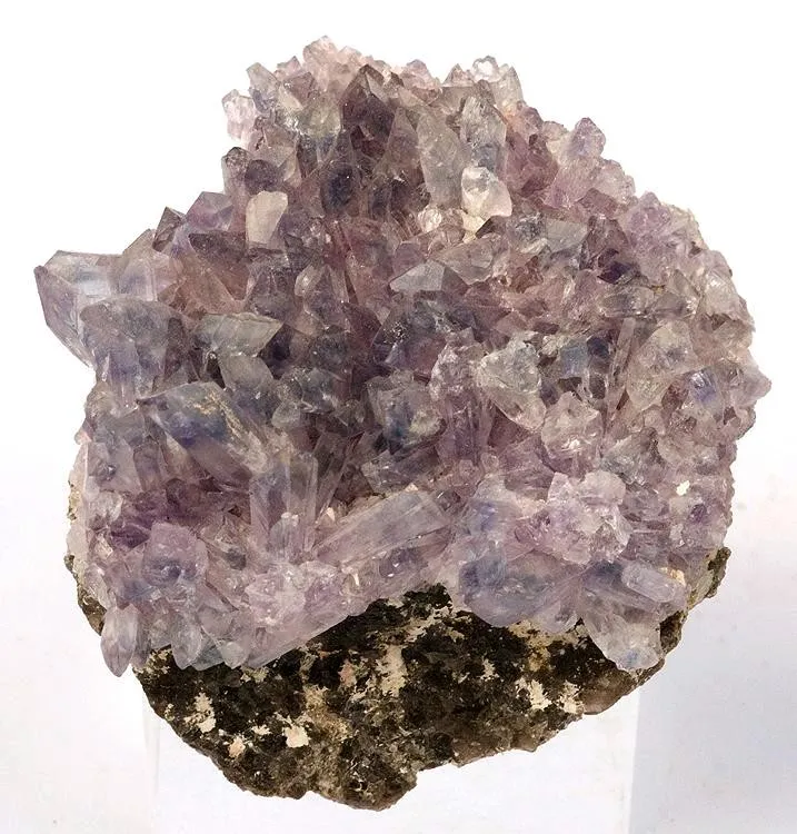 Creedite image