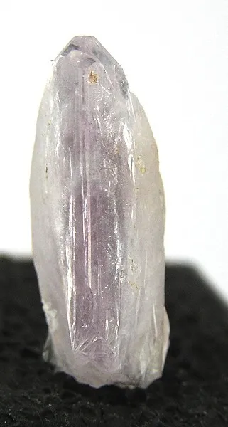 Creedite image
