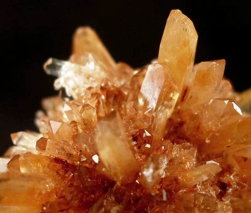 Creedite - image 2