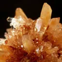 Creedite - image 2