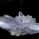 Creedite - image 2