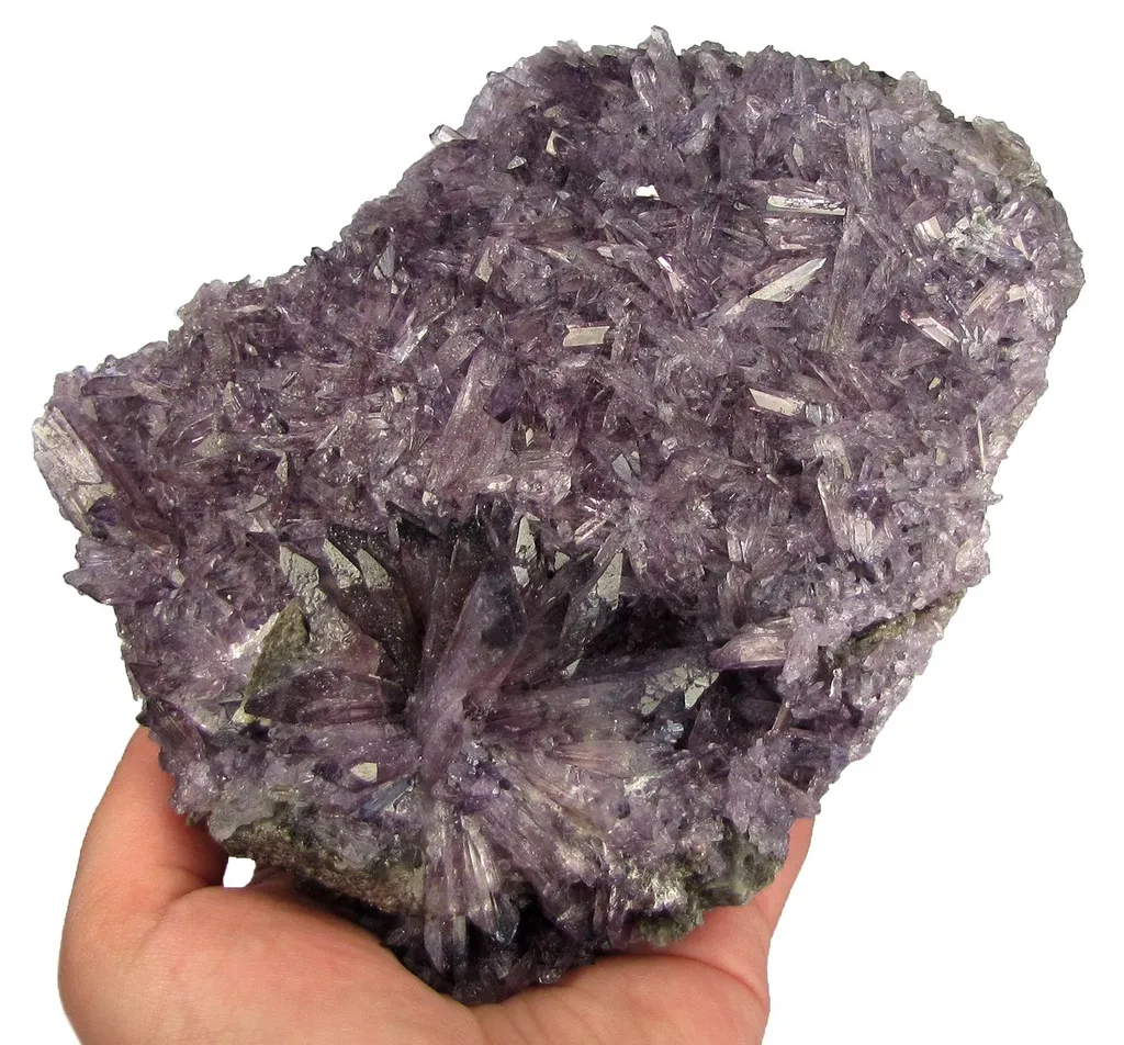 Creedite - image 2
