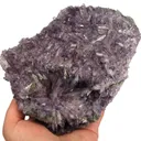 Creedite - image 2