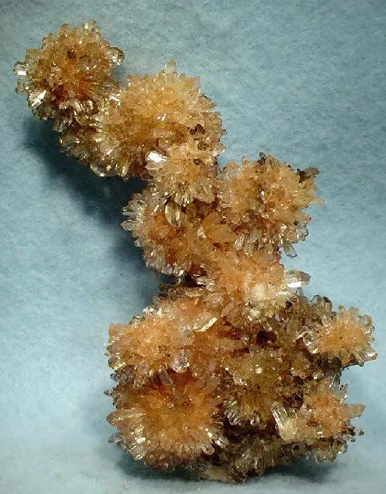 Creedite image