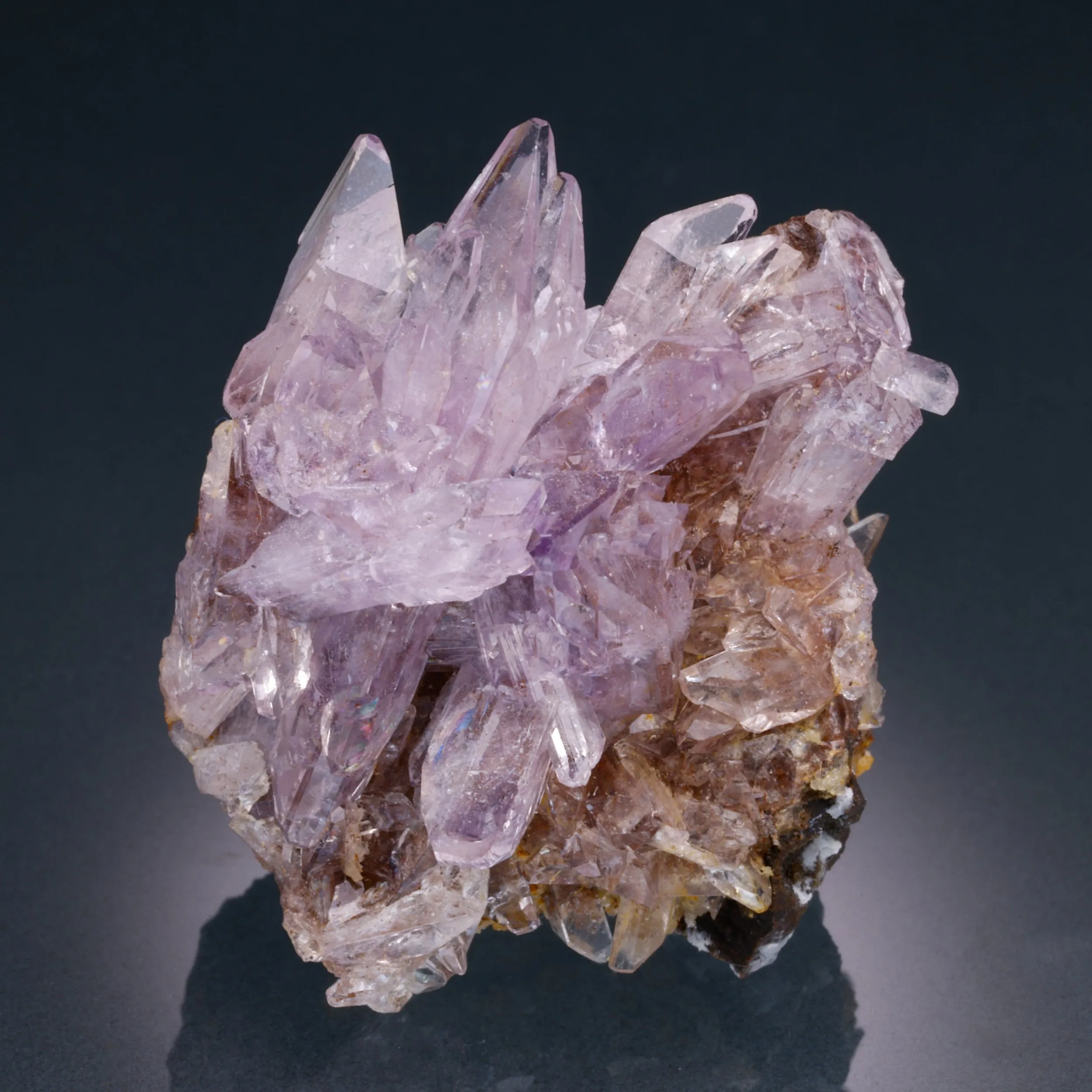 Creedite - image 1