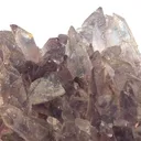 Creedite - image 2