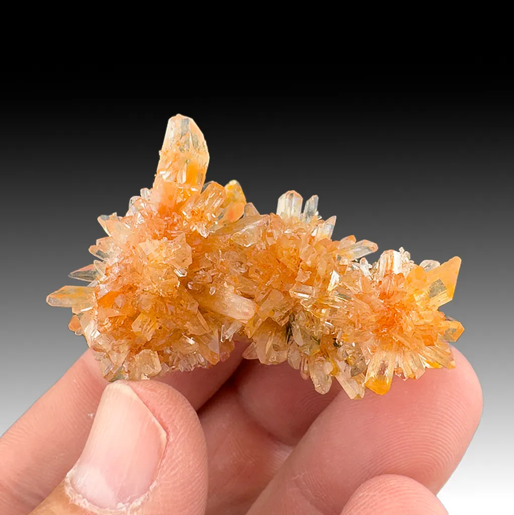Creedite - image 1